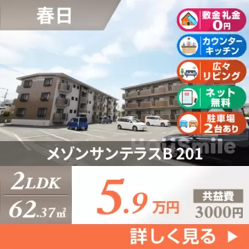 メゾンサンテラスB 201