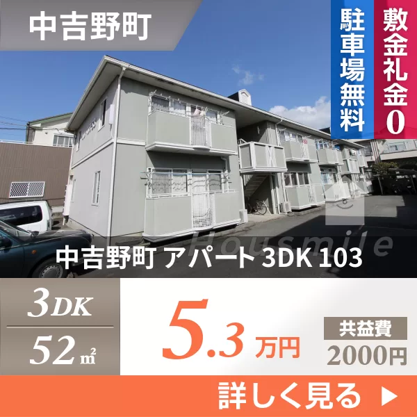 中吉野町 アパート 3DK 103