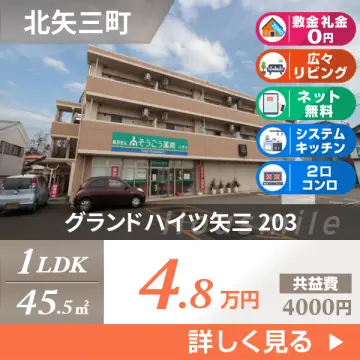 グランドハイツ矢三 203