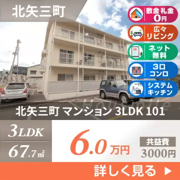 北矢三町 マンション 3LDK 101