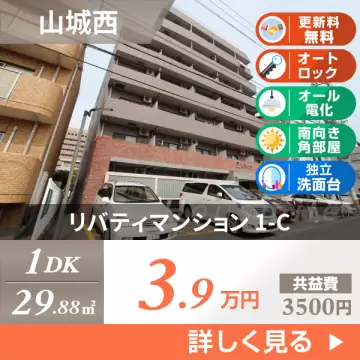 リバティマンション 1-C