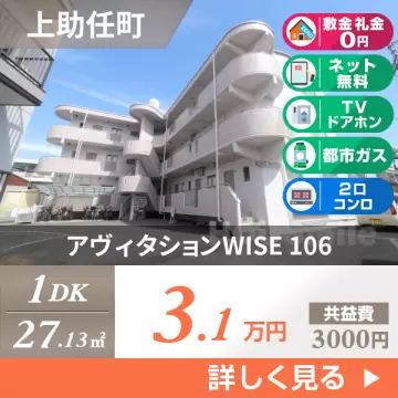 アヴィタションWISE 106