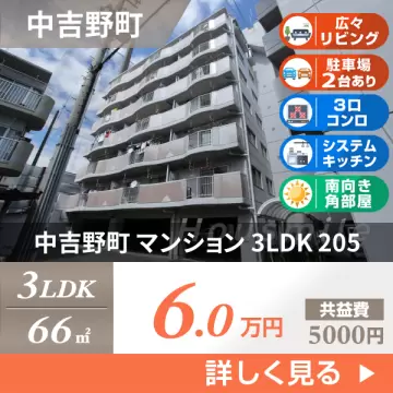 中吉野町 マンション 3LDK 205