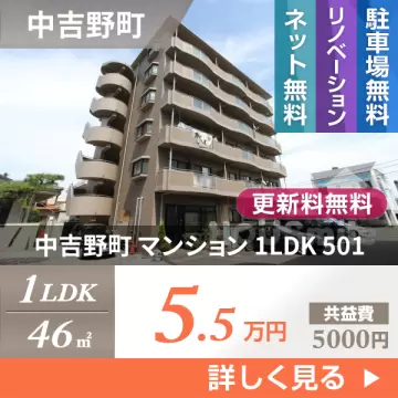 中吉野町 マンション 1LDK 501