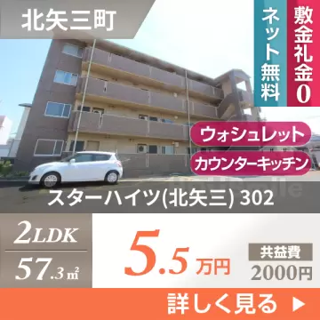 スターハイツ(北矢三) 302
