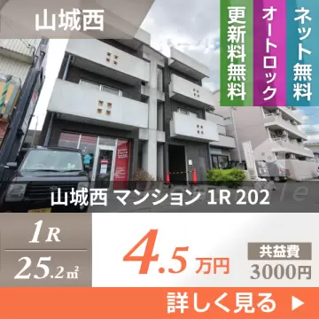 山城西 マンション 1R 202