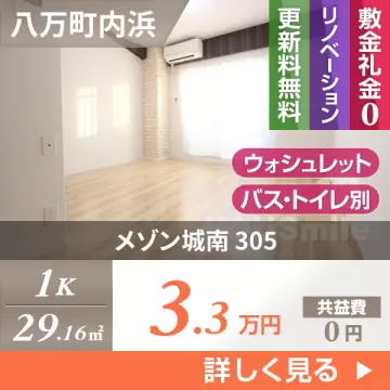 メゾン城南 305