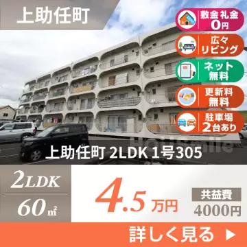 上助任町 マンション 2LDK 1号305