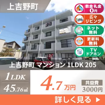 上吉野町 マンション 1LDK 205