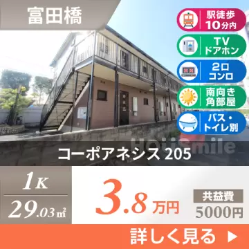 コーポアネシス 205