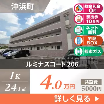 ルミナスコート 206
