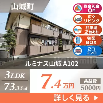 ルミナス山城 A102