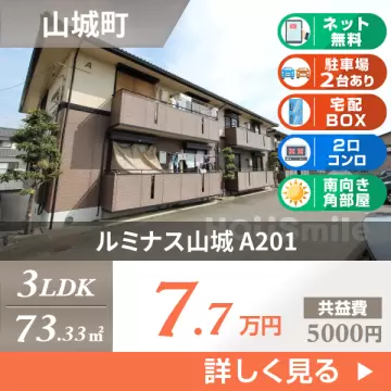 ルミナス山城 A201