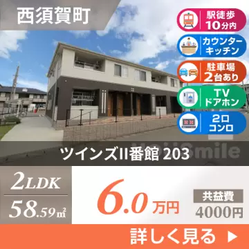 ツインズII番館 203