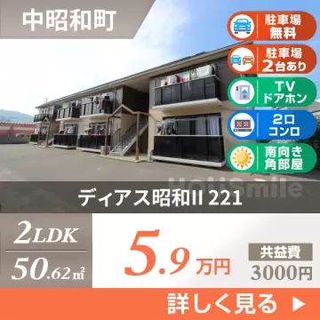 ディアス昭和II 221