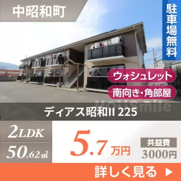 ディアス昭和II 225
