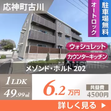 メゾンド・ホルト 202