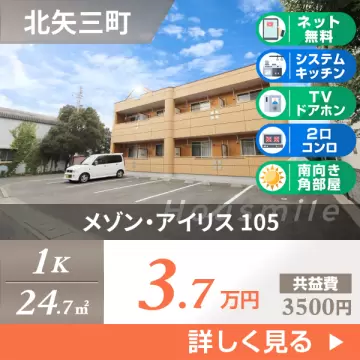 メゾン・アイリス 105