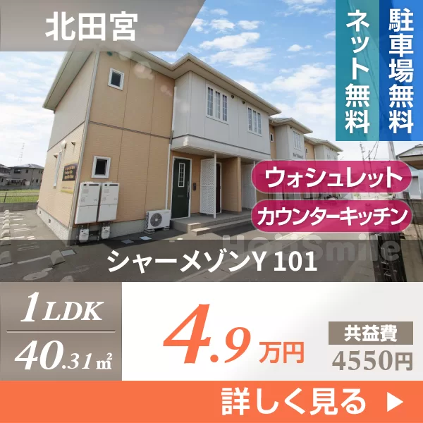 シャーメゾンY 101