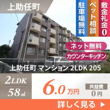 上助任町 マンション 2LDK 205