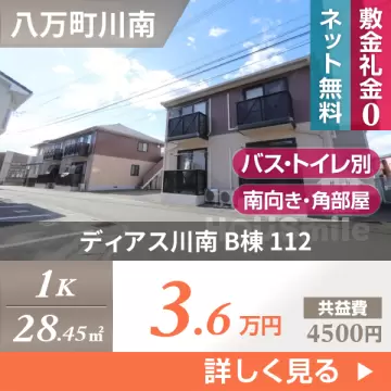 ディアス川南 B棟 112