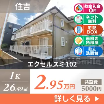 エクセルスミ 102