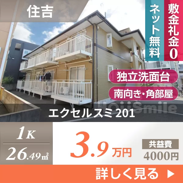 エクセルスミ 201