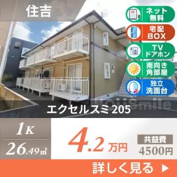 エクセルスミ 205