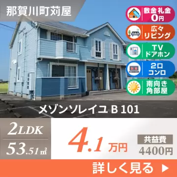 メゾンソレイユ B 101