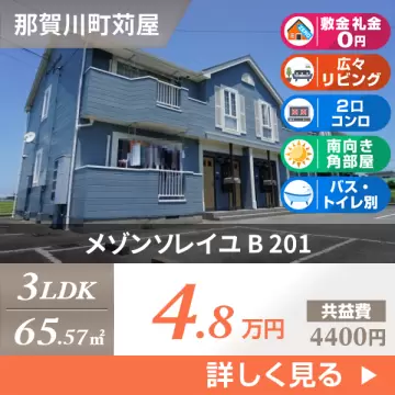 メゾンソレイユ B 201