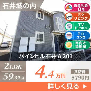 パインヒル石井 A 201