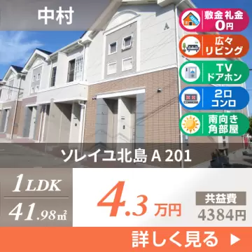 ソレイユ北島 A 201