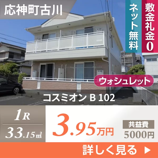 コスミオン B 102