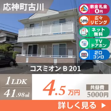 コスミオン B 201