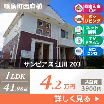 サンピアス 江川 203