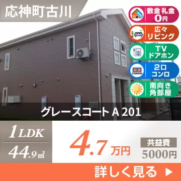 グレースコート A 201