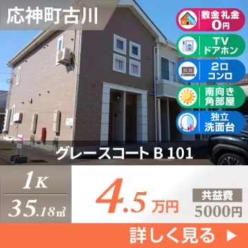 グレースコート B 101