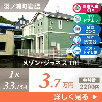 メゾン・ジュネス 101