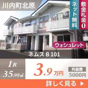 ネムス B 101