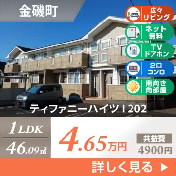 ティファニーハイツ I 202