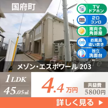 メゾン・エスポワール 203