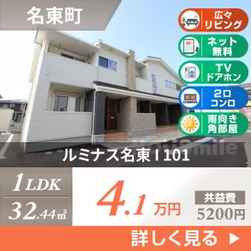 ルミナス名東 I 101