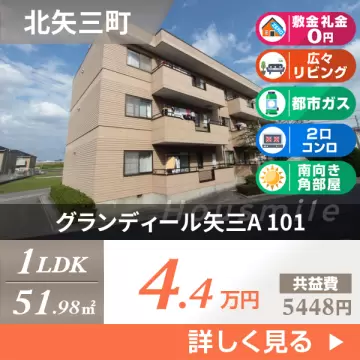 グランディール矢三A 101