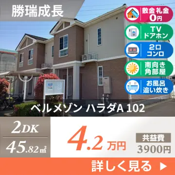 ベルメゾン ハラダA 102