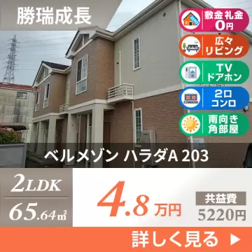 ベルメゾン ハラダA 203