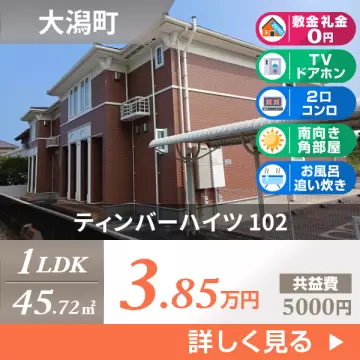 ティンバーハイツ 102