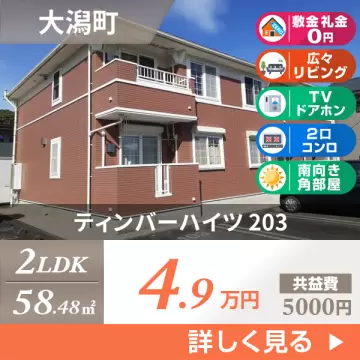 ティンバーハイツ 203