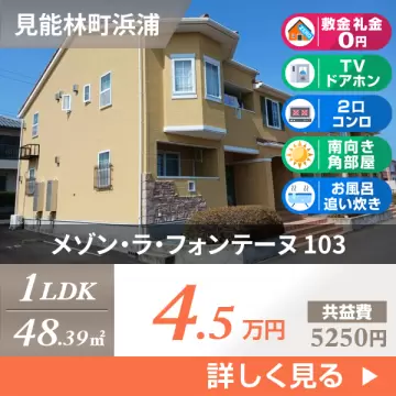 メゾン・ラ・フォンテーヌ 103