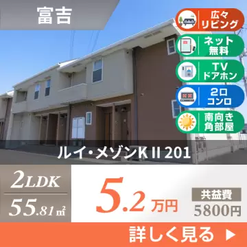 ルイ・メゾンK II 201