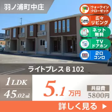 ライトブレス B 102
